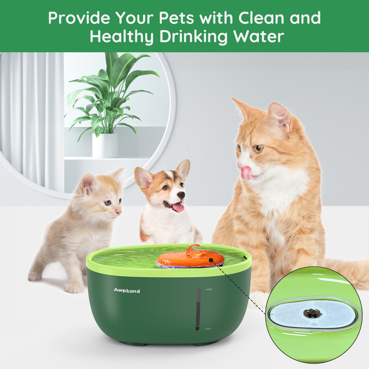 8 Pack Avocado Pet Fountain filter replacement with Quadruple Filteration System for Pet Drinking Health