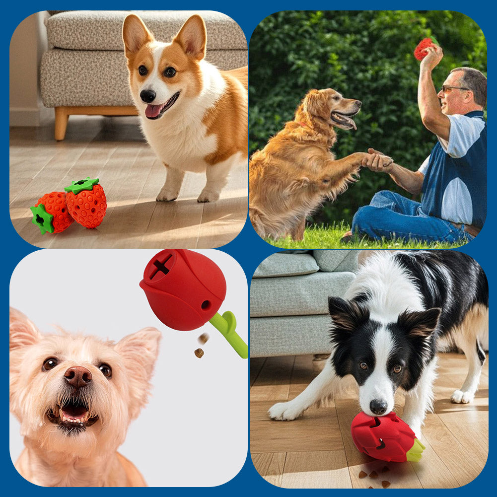 Pitaya Dog Puzzle Toys, Rubber Dog Chew Toys for Treat Food Dispenser