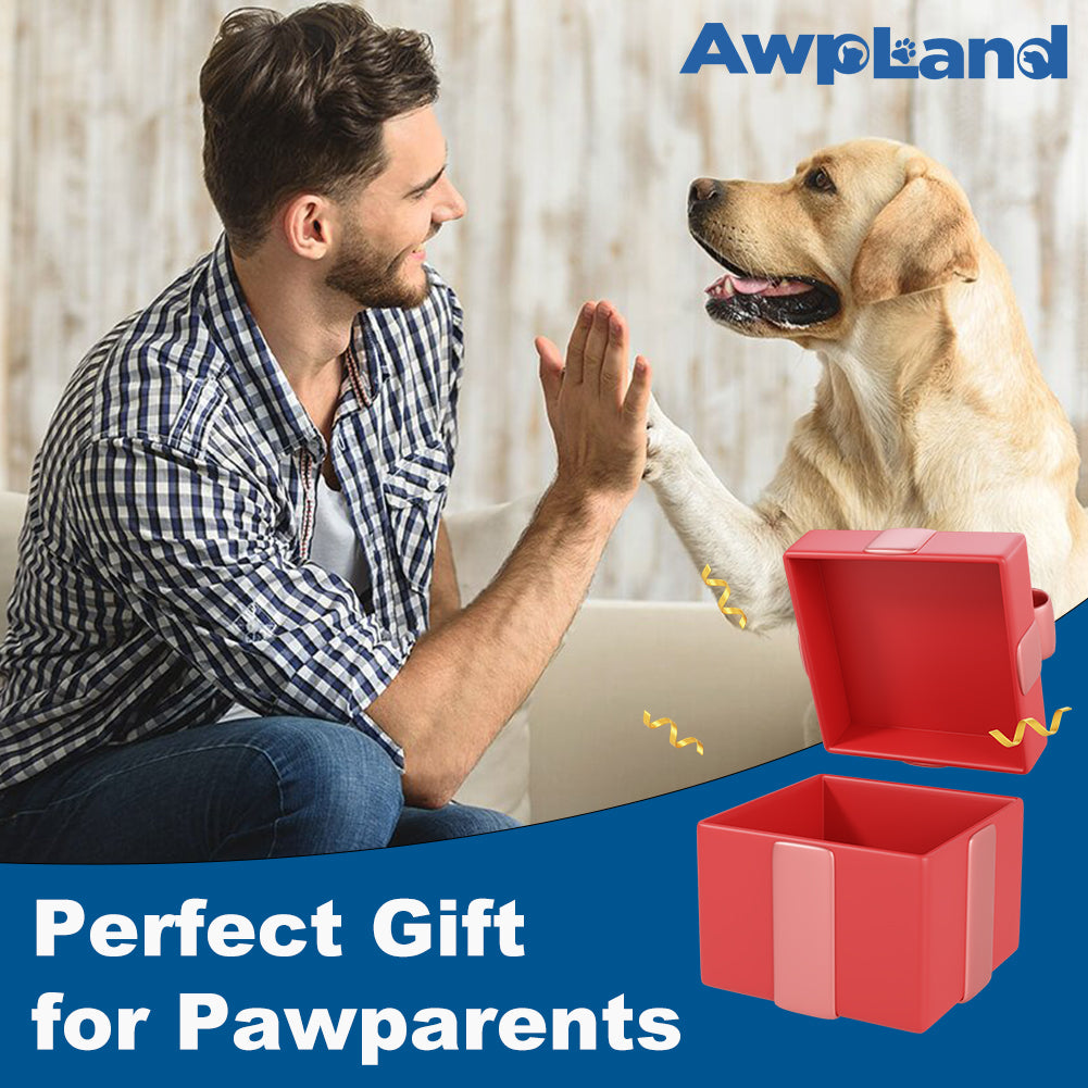 Memorial Dog Hair Keepsake with Keychain and Hair Pickup for Pet Owner