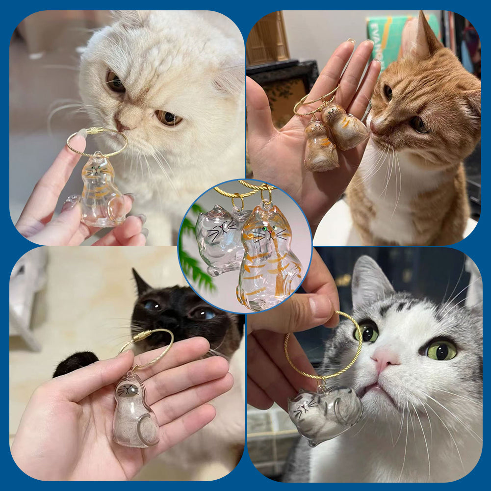 Transparent Cat Hairs Storage Bottle with Chain, Memorial Cats Hair Keepsake for Pet Owner