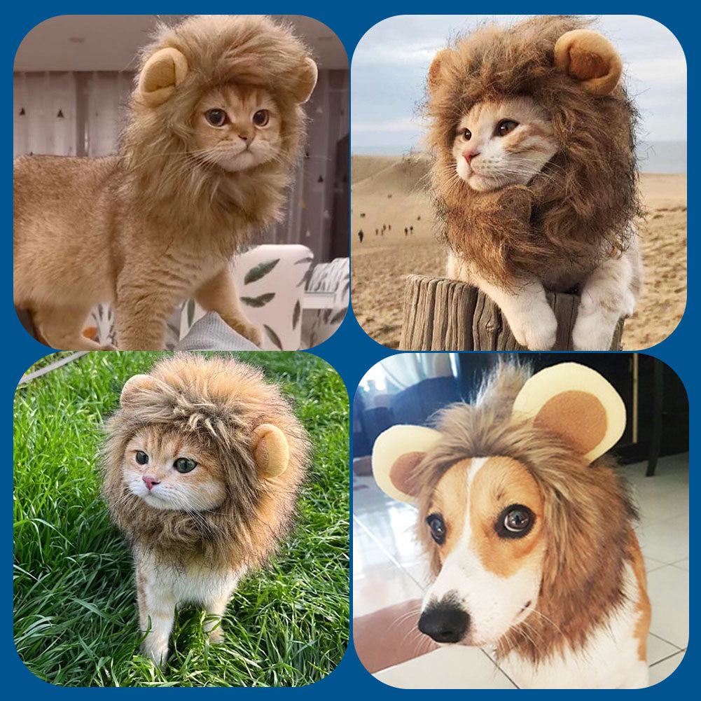 Funny Lion Mane Wig for Small to Large Sized Cat