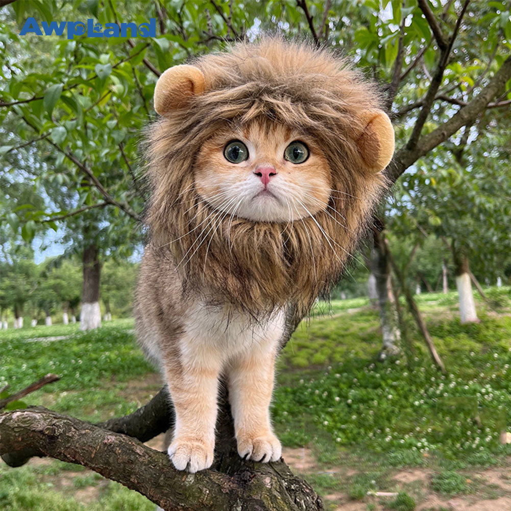 Funny Lion Mane Wig for Small to Large Sized Cat