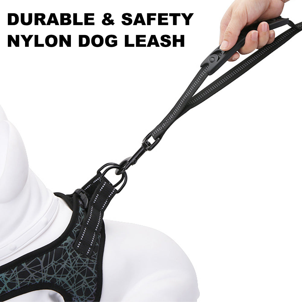 Strong Bungee Shock Absorbing Dog Leash for Small Medium and Large Dogs Training and Walking