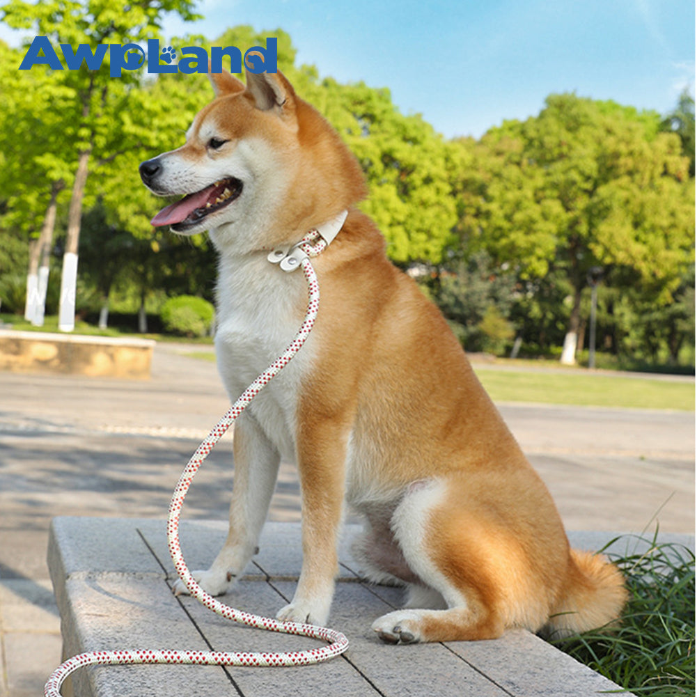 Correa de nailon resistente para perros con gancho a presión para perros pequeños, medianos y grandes