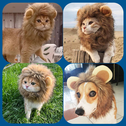 Funny Lion Mane Wig for Small to Large Sized Cat